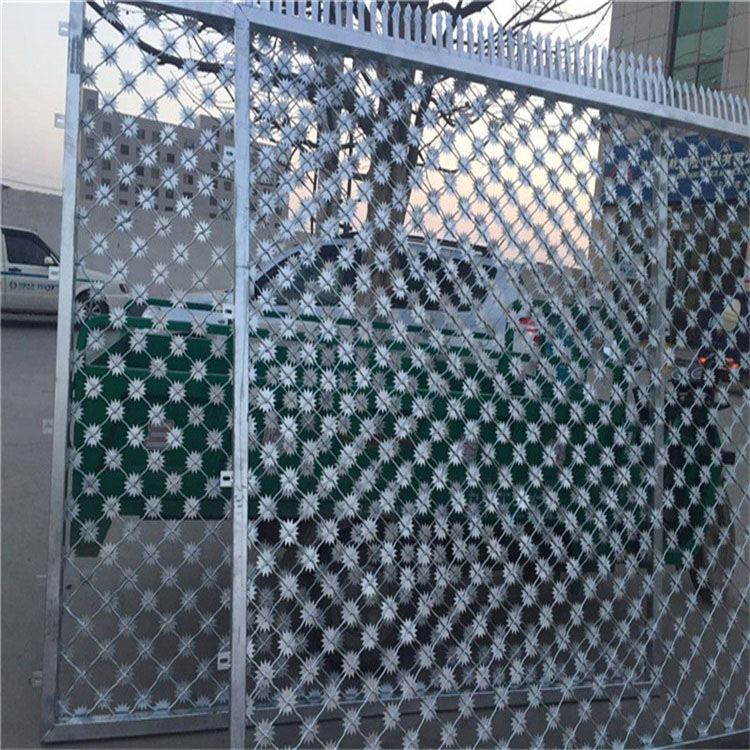 山东监狱梅花刺隔离钢网墙图片2