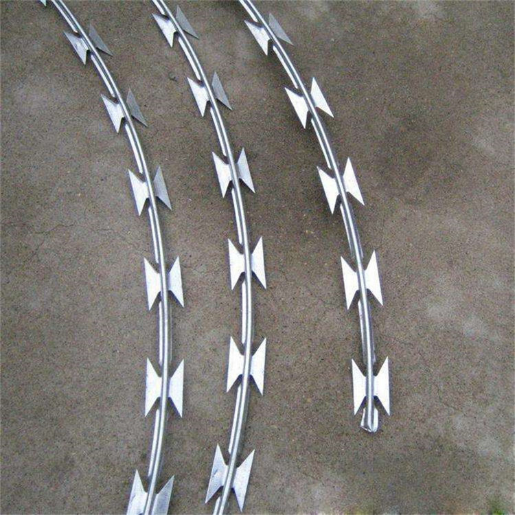 镀锌刀片刺绳刺网应用比较广泛图片3
